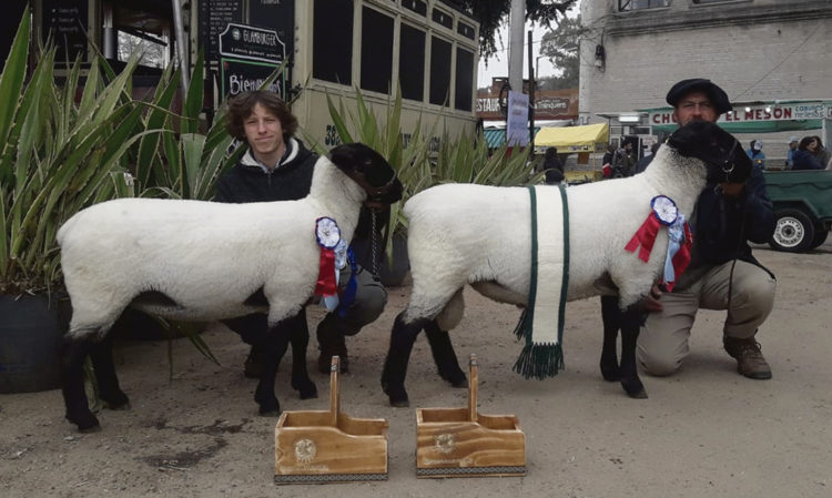 La genética uruguaya compite en cualquier pista