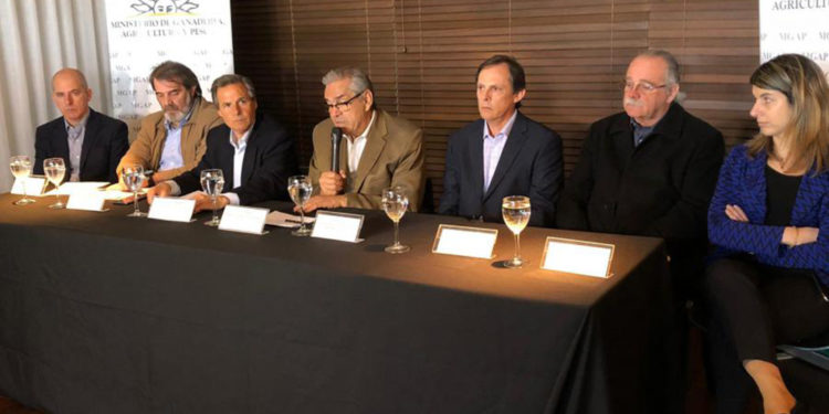 Uruguay reafirma el mercado de arroz mexicano