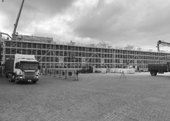 Di Santi & Romualdo embarcará 5.000 holando a China