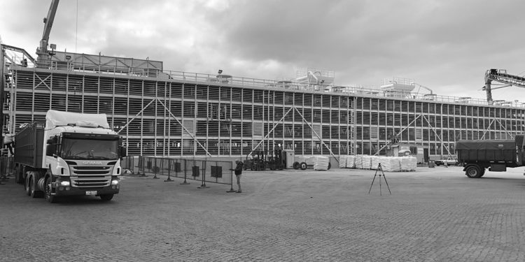 Di Santi & Romualdo embarcará 5.000 holando a China