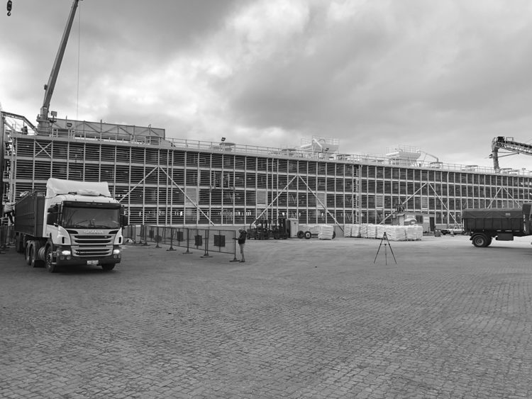 Di Santi & Romualdo embarcará 5.000 holando a China