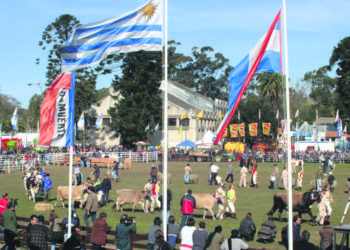 El Prado y su entorno.  Hoy como ayer, mirando al futuro