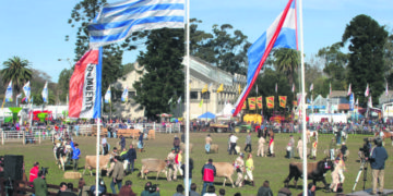 El Prado y su entorno.  Hoy como ayer, mirando al futuro