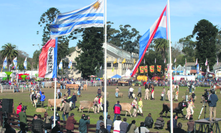 El Prado y su entorno.  Hoy como ayer, mirando al futuro