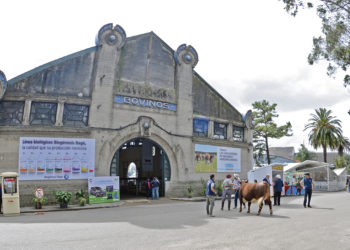 El día después de la Expo Prado