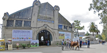 El día después de la Expo Prado