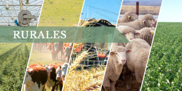 Gerardo Zambrano:  la ganadería es el sector con mejores perspectivas