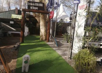 SARU: una opción gastronómica con fin benéfico