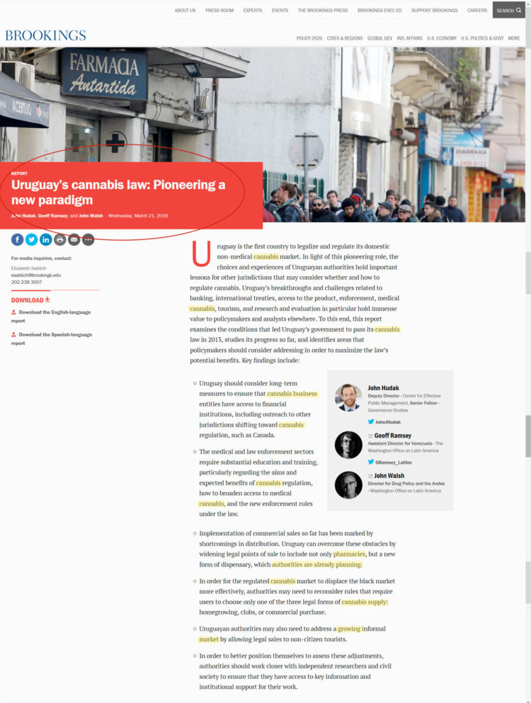 La economía política del narcotráfico