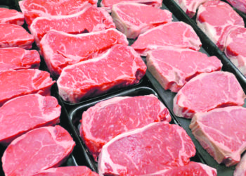 El agro tiene por delante un largo camino de crecimiento