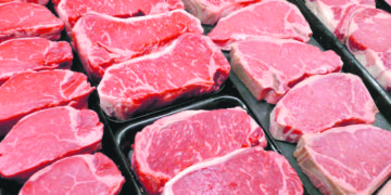 El agro tiene por delante un largo camino de crecimiento