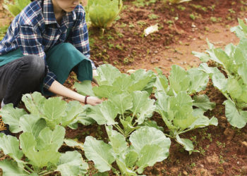 CNFR apuesta al diálogo y a políticas diferenciales en el próximo gobierno