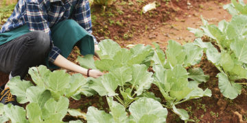 CNFR apuesta al diálogo y a políticas diferenciales en el próximo gobierno
