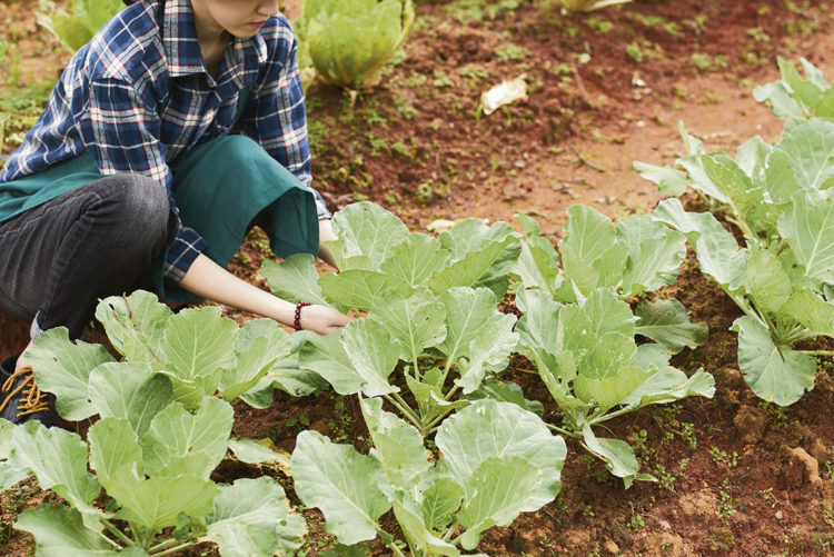 CNFR apuesta al diálogo y a políticas diferenciales en el próximo gobierno
