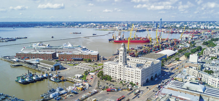 La economía política del narcotráfico