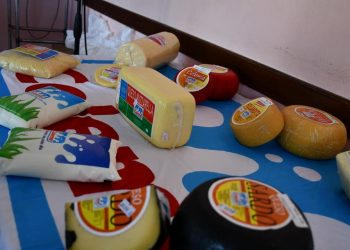 Coleme podrá cancelar deuda con tamberos