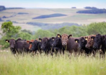 Consolidar las ventajas para hacerlas persistentes