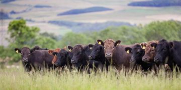 Consolidar las ventajas para hacerlas persistentes