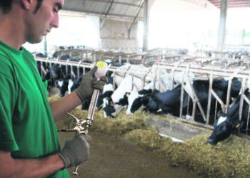 CEV alerta por ingreso ilegal de productos veterinarios provenientes de la región