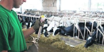 CEV alerta por ingreso ilegal de productos veterinarios provenientes de la región