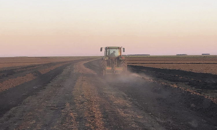 El papel del estado en la reactivación del sector arrocero y el agro en general