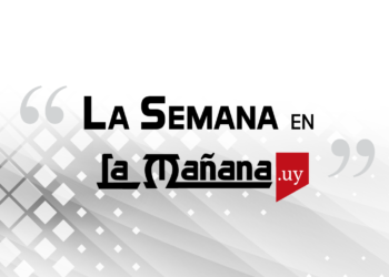 Estas son las frases mas relevantes de la semana: 20 de Noviembre