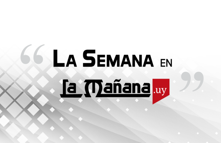 Estas son las frases mas relevantes de la semana: 20 de Noviembre