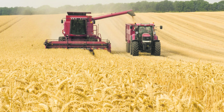 La reconstrucción del aparato productivo nacional