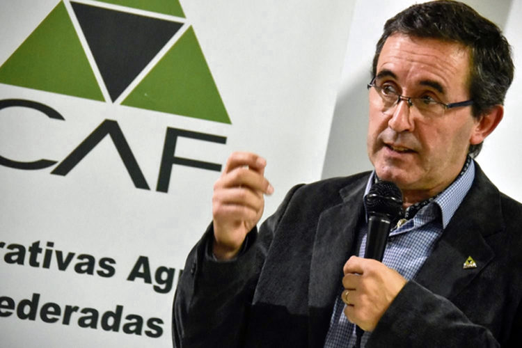 La recta final hacia el balotaje