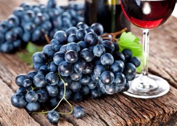 Viticultores decepcionados por poca respuesta del gobierno a la problemática sectorial