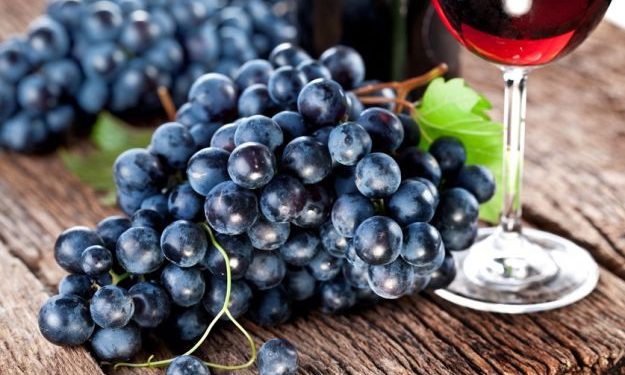 Viticultores decepcionados por poca respuesta del gobierno a la problemática sectorial