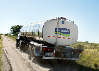 Conaprole: USD 10 millones de perdida