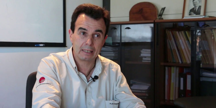 Un rayo de luz en medio del crepúsculo