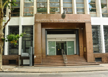 Nuevas exigencias del MGAP “limitan la exportación de ganado en pie”