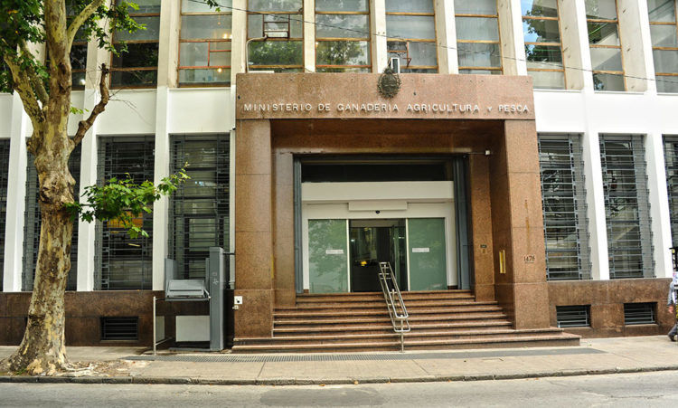 Nuevas exigencias del MGAP “limitan la exportación de ganado en pie”