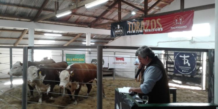 La zafra de toros dejó saldo positivo