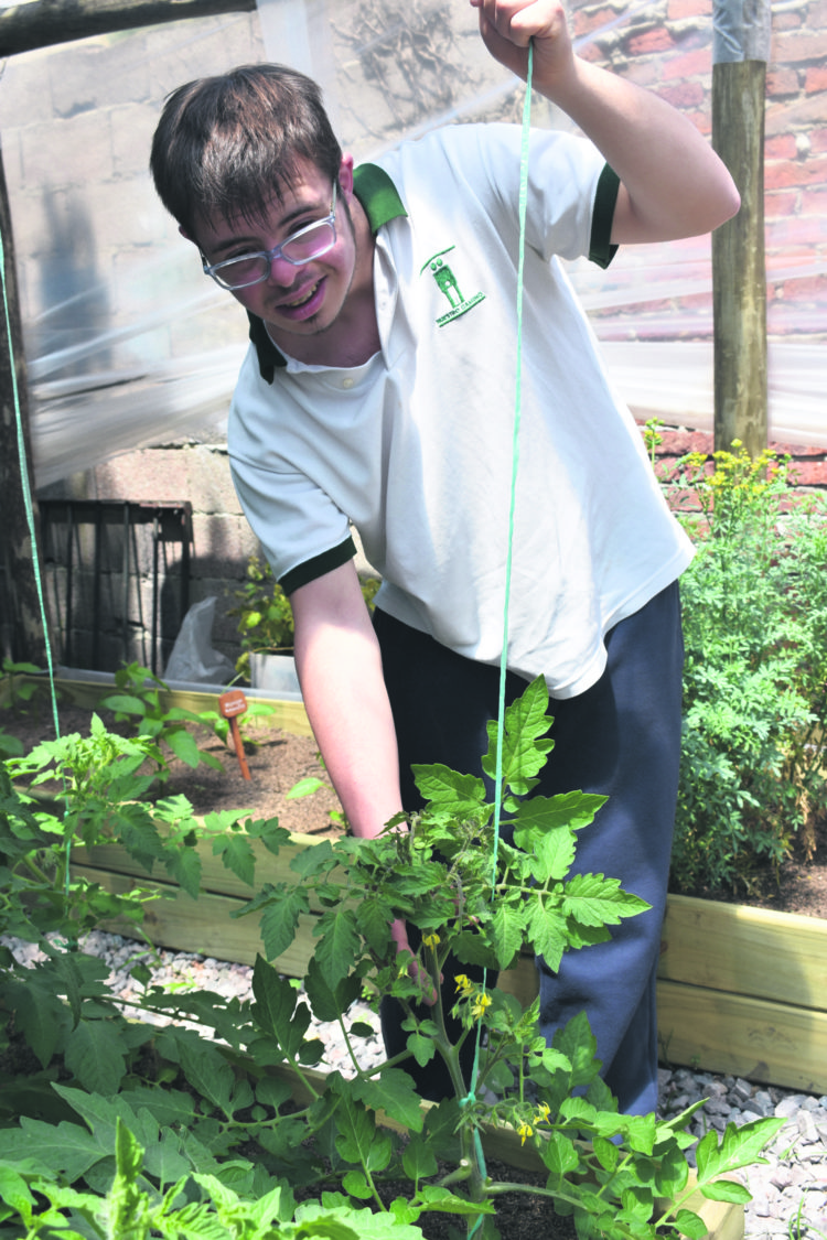 Caminar junto a los hijos