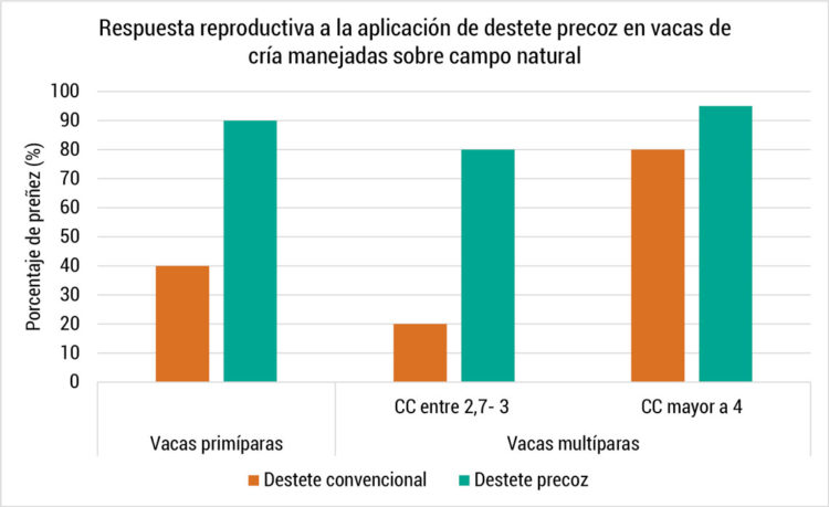 Destete Precoz: Una herramienta útil para mejorar la eficiencia de la cría