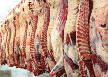 Análisis de la faena de vacunos