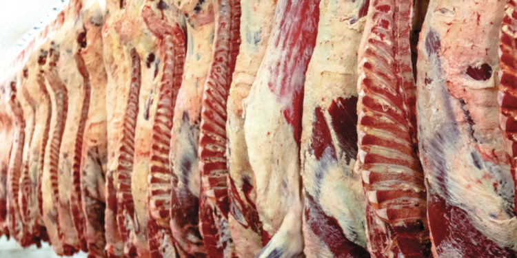 Análisis de la faena de vacunos