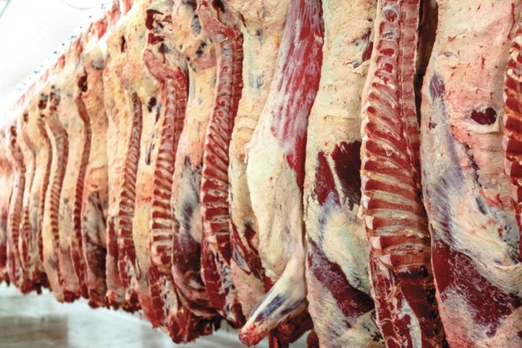 Análisis de la faena de vacunos