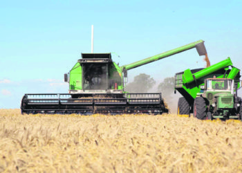 Falta de lluvias: avanza la cosecha en cultivos de invierno y se frena la siembra de soja