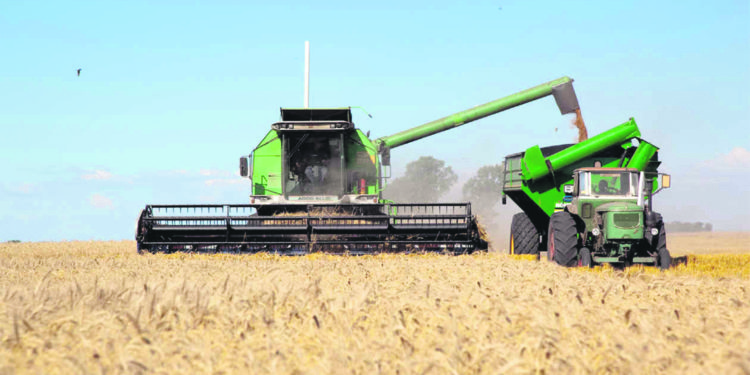 Falta de lluvias: avanza la cosecha en cultivos de invierno y se frena la siembra de soja