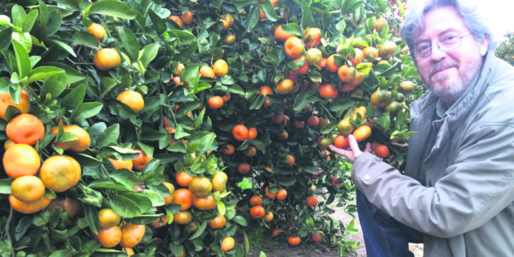 Cuando la inversión innovadora emigra