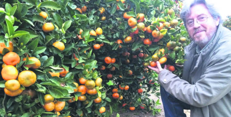 Cuando la inversión innovadora emigra