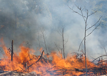 Una semana de graves incendios en el este