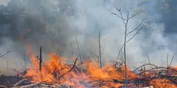 Una semana de graves incendios en el este