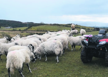 Nueva Zelandia y las lecciones de su modelo de desarrollo