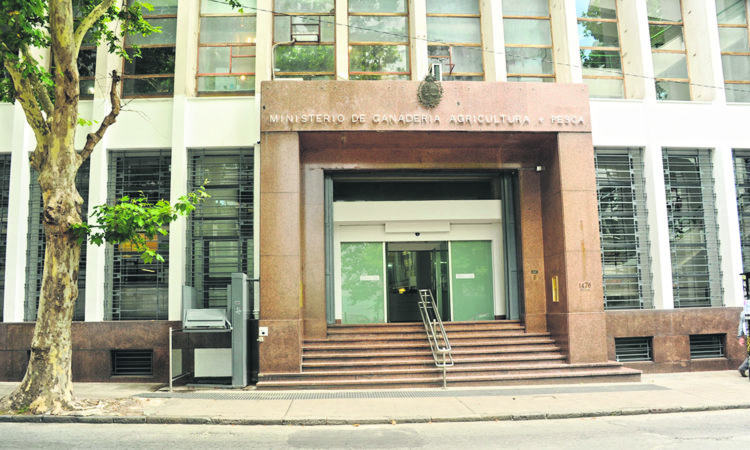 Carlos María Uriarte:  En la próxima gestión Ganadería priorizará al arroz, lechería y granja