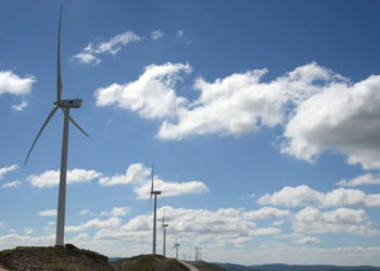 “Revolución eólica”: la sobreproducción de la energía que nos une